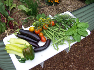 Raised garden beds