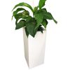 Tall pot with plant